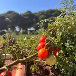 Mamma Francesca 펜션 살레미