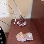Mamma Francesca *
