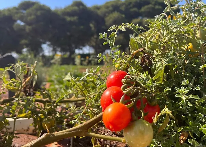 Mamma Francesca Дом отдыха Salemi